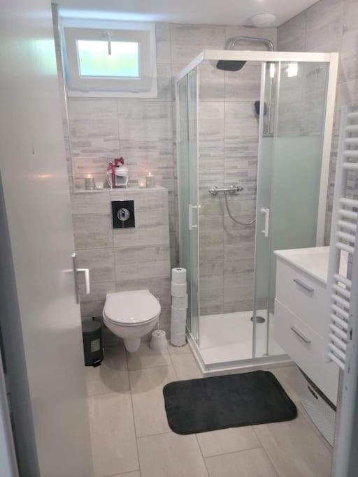 Apartment Superbe Saint-Hilaire-du-Rosier